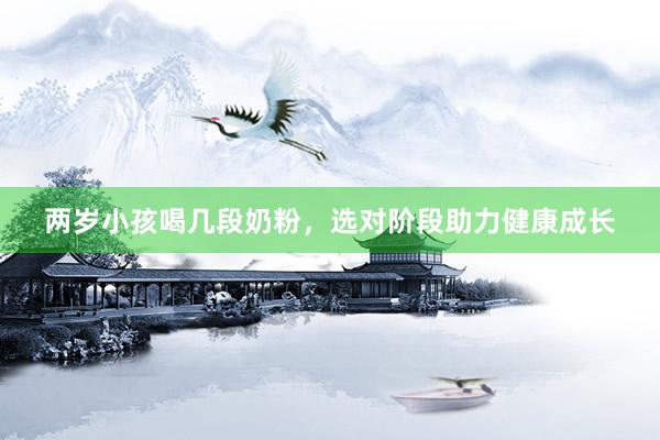两岁小孩喝几段奶粉，选对阶段助力健康成长